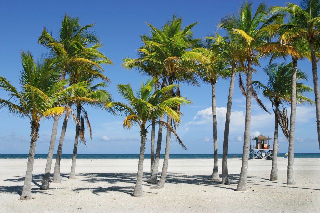 A sunny afternoon with deep blue skies and bright, white sand at a Miami beach.